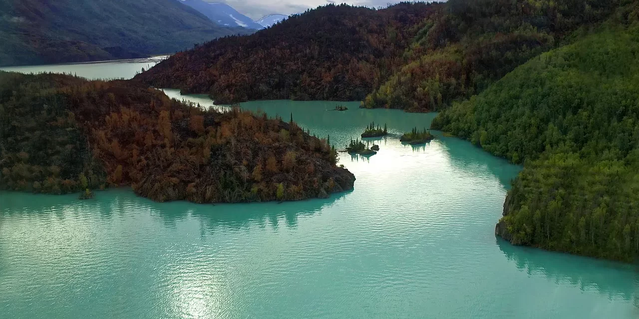 🌊 Life: Time Flow Choice Meaning Staying Achieving Truth | Master Woo Myung | Santa Clara Meditation