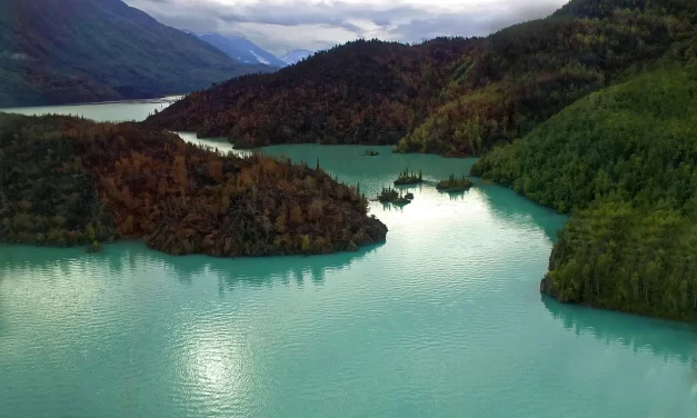 🌊 Life: Time Flow Choice Meaning Staying Achieving Truth | Master Woo Myung | Santa Clara Meditation