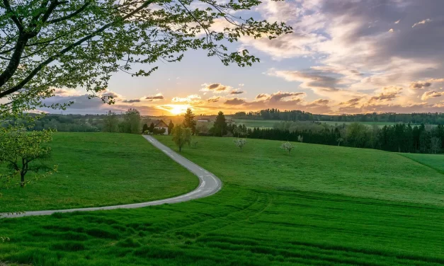 🥰 Alcohol That Was My Companion and the Search for Truth | Master Woo Myung | Santa Clara Meditation