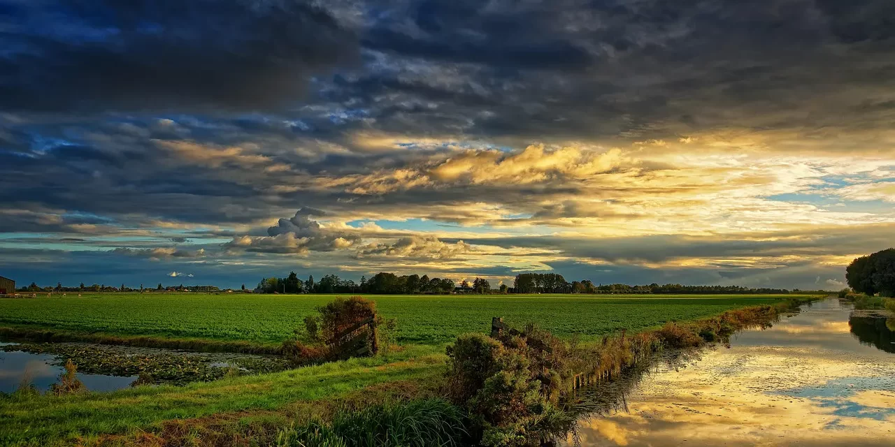 🌅 A New Age: Heaven on Earth Unity Truth Awakening Human Completion | Master Woo Myung | Santa Clara Meditation