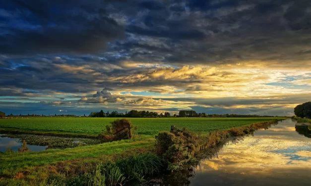 🌅 A New Age: Heaven on Earth Unity Truth Awakening Human Completion | Master Woo Myung | Santa Clara Meditation