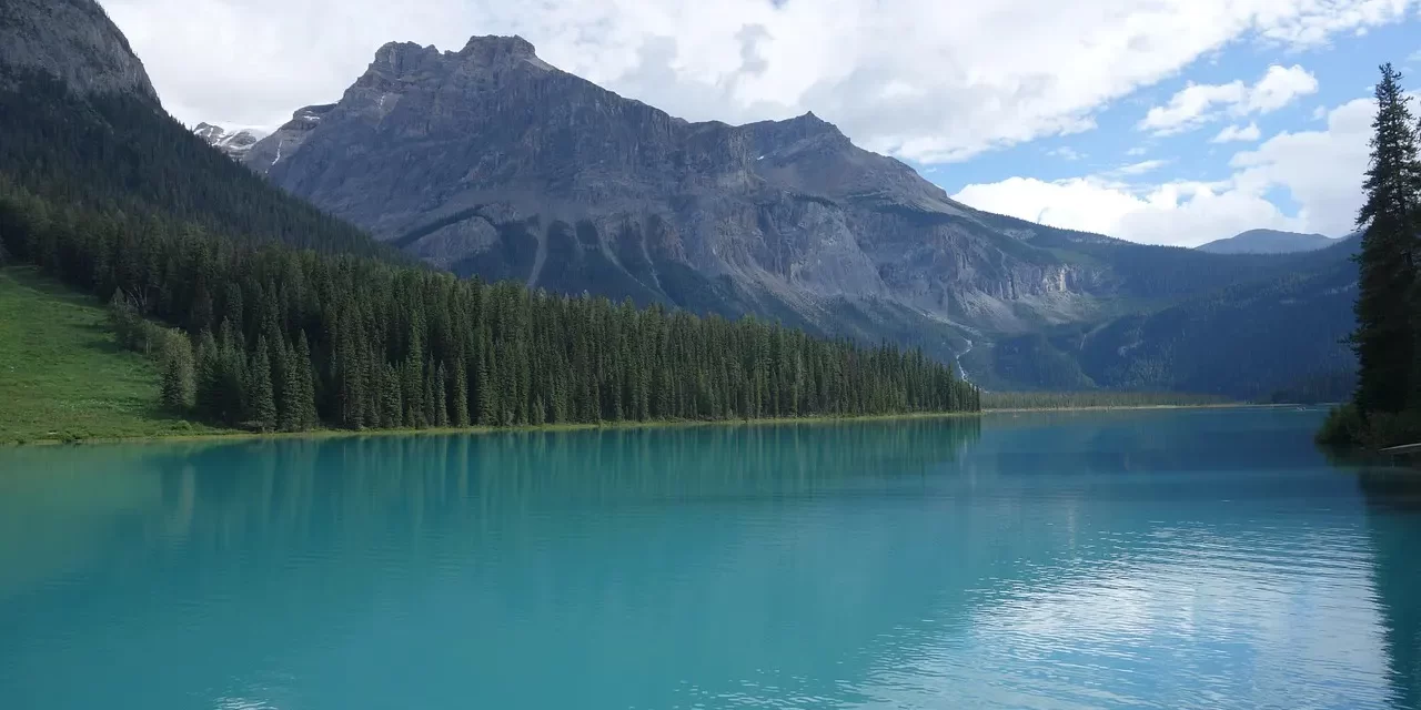 🕊️ How to Repent Properly: True Repentance Penitence Mind Cleansing Truth | Master Woo Myung | Santa Clara Meditation