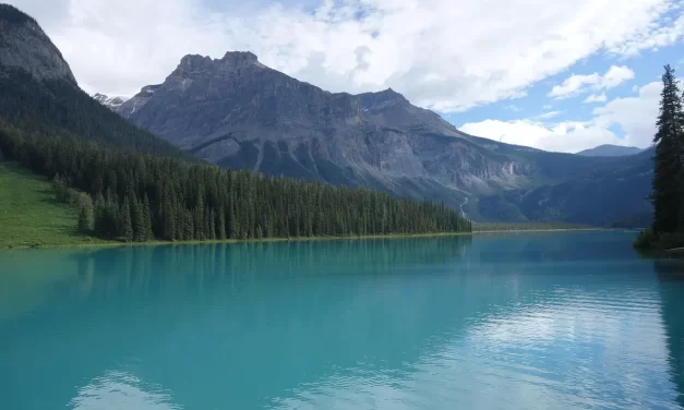 🕊️ How to Repent Properly: True Repentance Penitence Mind Cleansing Truth | Master Woo Myung | Santa Clara Meditation