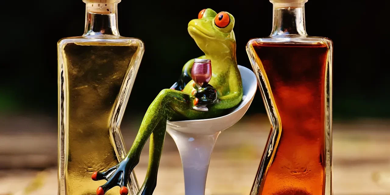 🍃 From Alcohol Dependence to Inner Fulfillment – Meditation Testimonial | Santa Clara Meditation