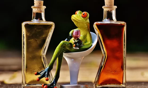 🍃 From Alcohol Dependence to Inner Fulfillment – Meditation Testimonial | Santa Clara Meditation