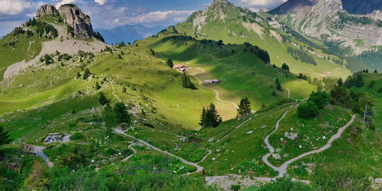 🌾 Slash-and-Burn Farmer: A Life of Simplicity, Nature, and Lost Warmth | Master Woo Myung | Santa Clara Meditation