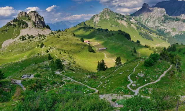 🌾 Slash-and-Burn Farmer: A Life of Simplicity, Nature, and Lost Warmth | Master Woo Myung | Santa Clara Meditation