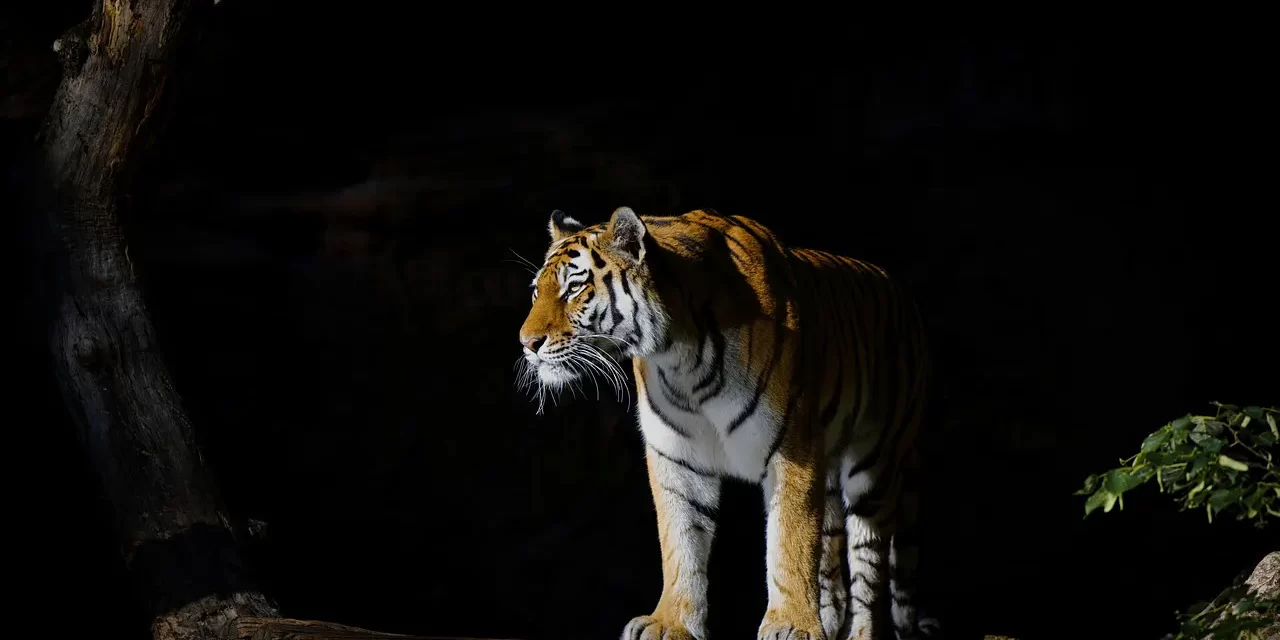 🌟 One’s Body and Mind Must Be Reborn as the Truth of the Universe | Master Woo Myung | Santa Clara Meditation