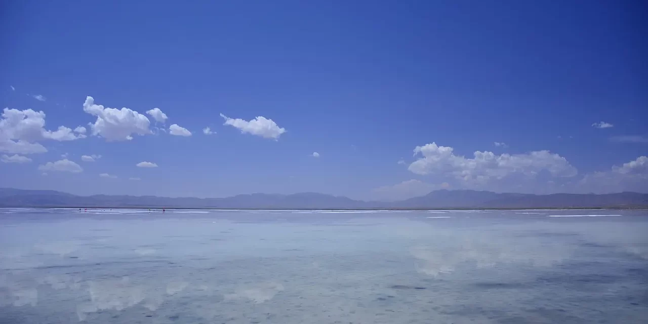 🎯 Meditation for Concentration: Focus Mind Clarity Productivity Study Success | Master Woo Myung | Santa Clara Meditation