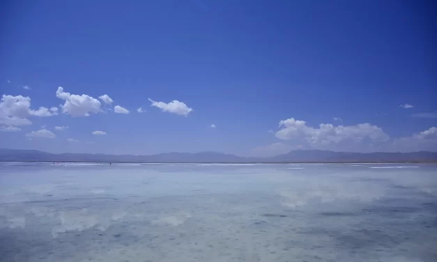 🎯 Meditation for Concentration: Focus Mind Clarity Productivity Study Success | Master Woo Myung | Santa Clara Meditation