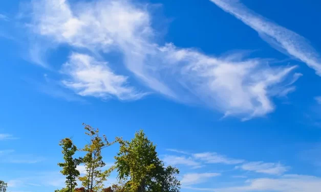 🕊️ Buddha and God Are One: Truth Wisdom Mind Universe Unity | Master Woo Myung | Santa Clara Meditation