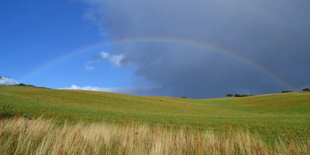 🙏 GRATITUDE THE FOUNDATION OF TRUE HAPPINESS AND SUCCESS | Master Woo Myung | Santa Clara Meditation