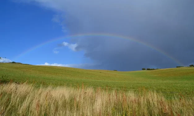 🙏 GRATITUDE THE FOUNDATION OF TRUE HAPPINESS AND SUCCESS | Master Woo Myung | Santa Clara Meditation