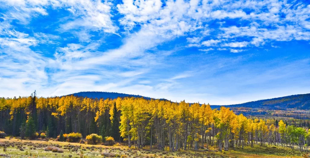 Master Woo Myung capacity blessings mind truth selflessness inner wealth