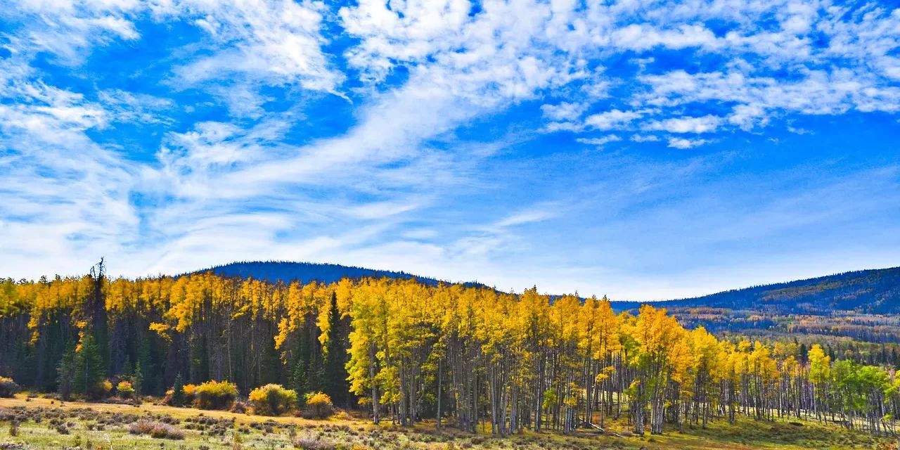 🏺 Capacity for Blessings: Mind Truth Selflessness Inner Wealth | Master Woo Myung | Santa Clara Meditation