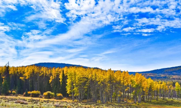 🏺 Capacity for Blessings: Mind Truth Selflessness Inner Wealth | Master Woo Myung | Santa Clara Meditation