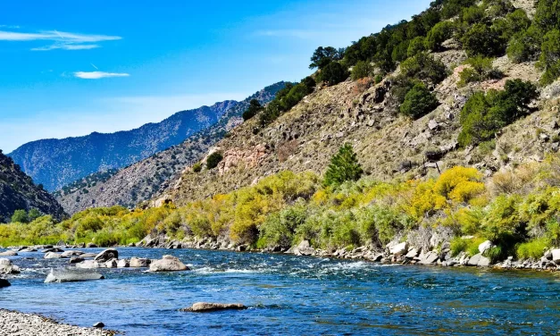 🌊 Accept Nature’s Flow: Letting Go Mind Truth Natural Life Enlightenment | Master Woo Myung | Santa Clara Meditation