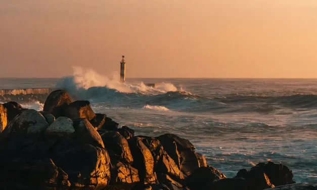 🌙 God’s Will and the Flow of Time and Truth | Master Woo Myung | Santa Clara Meditation