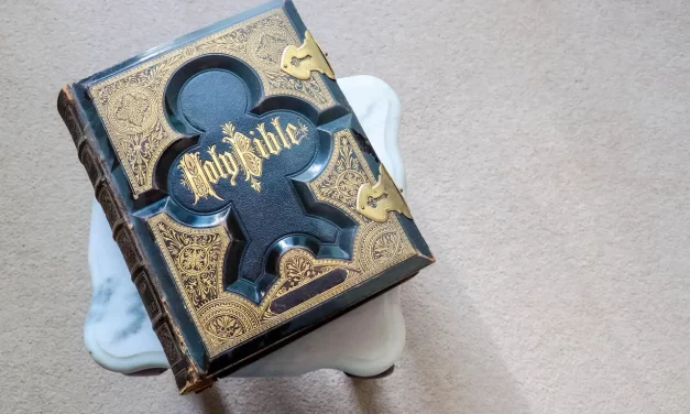 📖 What the Bible Tells Us: Truth Prophecy Savior Completion Enlightenment | Master Woo Myung | Santa Clara Meditation