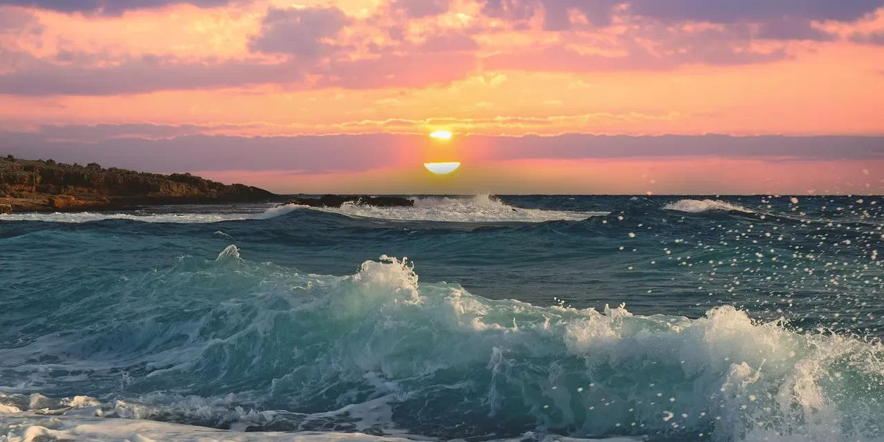 🎯 What Is the Purpose of Life: Truth Enlightenment Eternal Life Meaning Explained | Master Woo Myung | Santa Clara Meditation