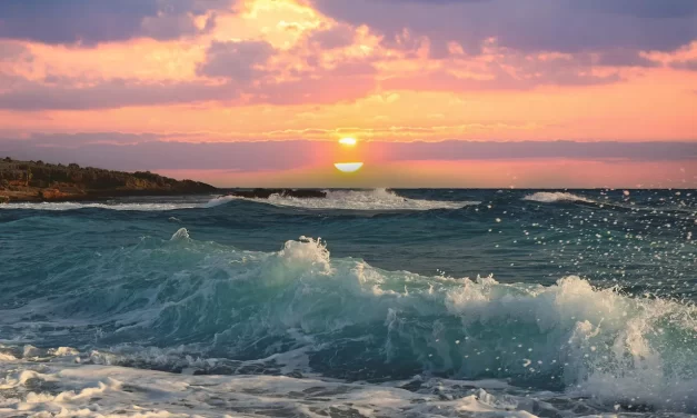 🎯 What Is the Purpose of Life: Truth Enlightenment Eternal Life Meaning Explained | Master Woo Myung | Santa Clara Meditation