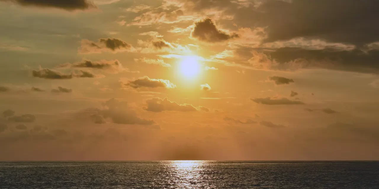 🌿 Calmness: Oneness Equality Harmony Peaceful Living Truth | Master Woo Myung | Santa Clara Meditation