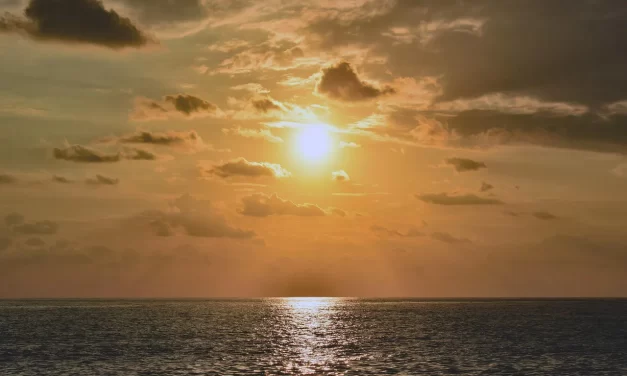 🌿 Calmness: Oneness Equality Harmony Peaceful Living Truth | Master Woo Myung | Santa Clara Meditation