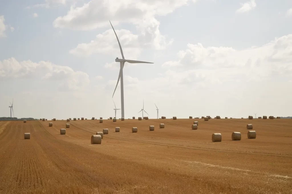 Master Woo Myung the wind meaning life flow universe oneness meditation teaching