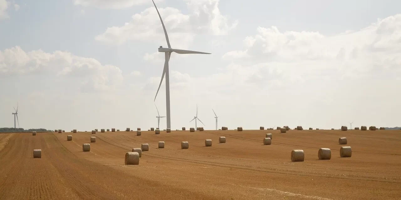 🍃 The Wind Meaning: Life Flow Universe Oneness Existence Truth | Master Woo Myung | Santa Clara Meditation