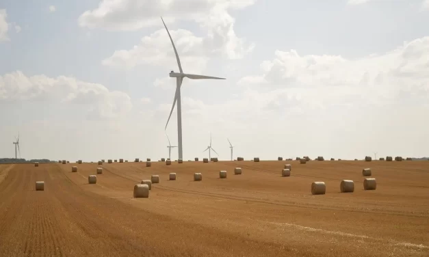 🍃 The Wind Meaning: Life Flow Universe Oneness Existence Truth | Master Woo Myung | Santa Clara Meditation