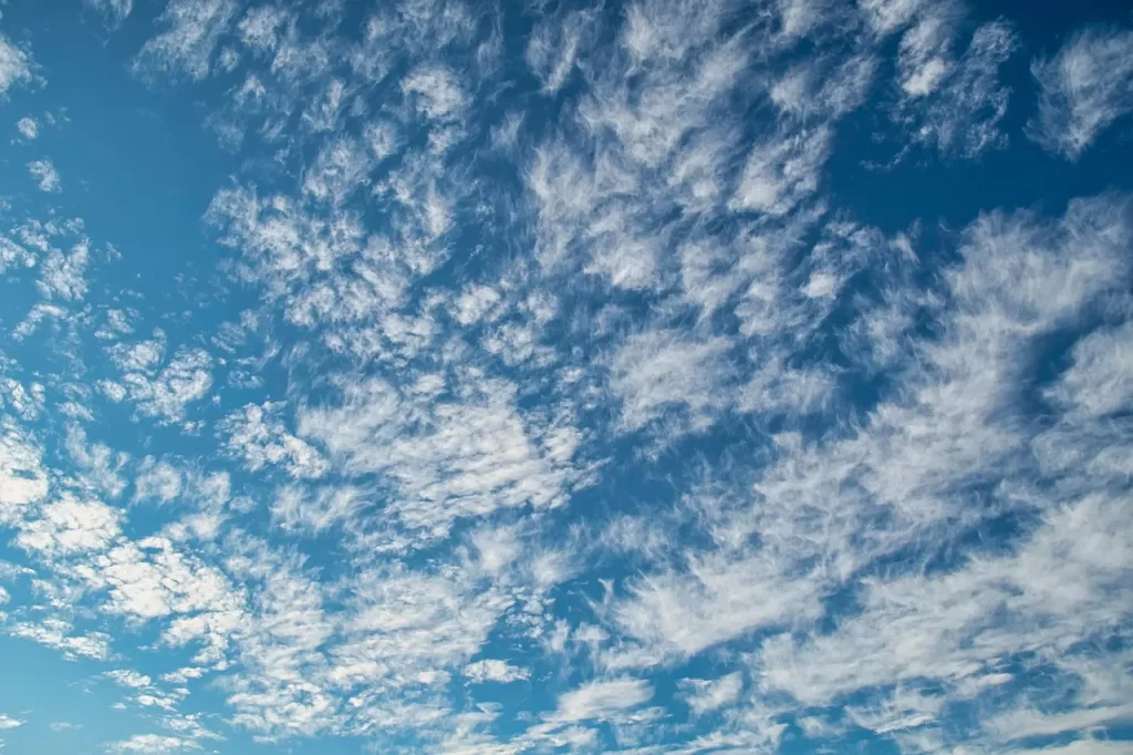 Master Woo Myung born again truth meditation teaching rebirth