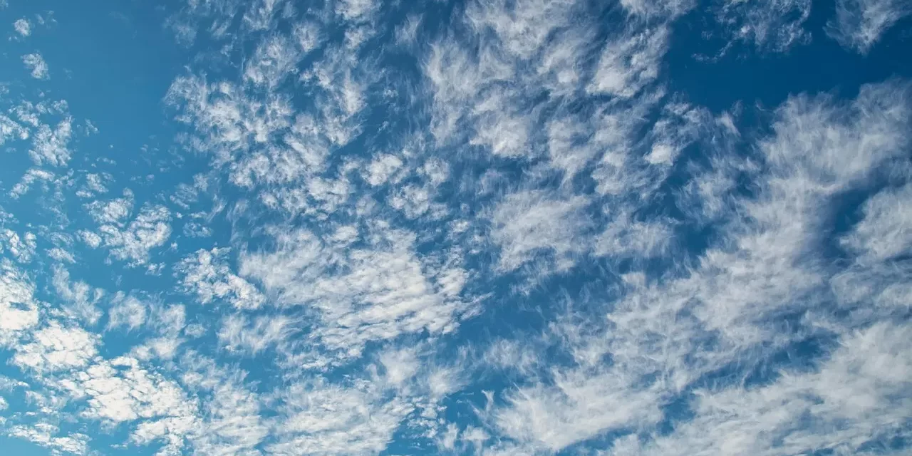 🌌 HOW CAN I BE BORN AGAIN AS TRUTH TRUE REBIRTH EXPLAINED | Master Woo Myung | Santa Clara Meditation