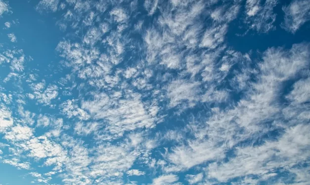 🌌 HOW CAN I BE BORN AGAIN AS TRUTH TRUE REBIRTH EXPLAINED | Master Woo Myung | Santa Clara Meditation