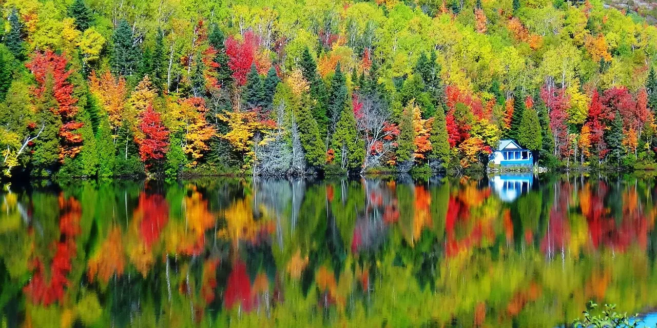 👤 The Definition of a Person and a Ghost in the Mind World | Master Woo Myung | Santa Clara Meditation