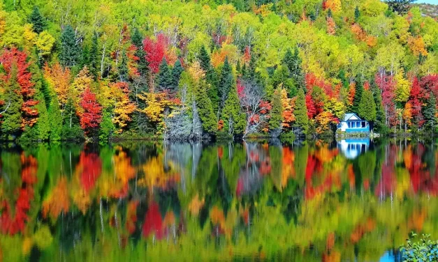 👤 The Definition of a Person and a Ghost in the Mind World | Master Woo Myung | Santa Clara Meditation