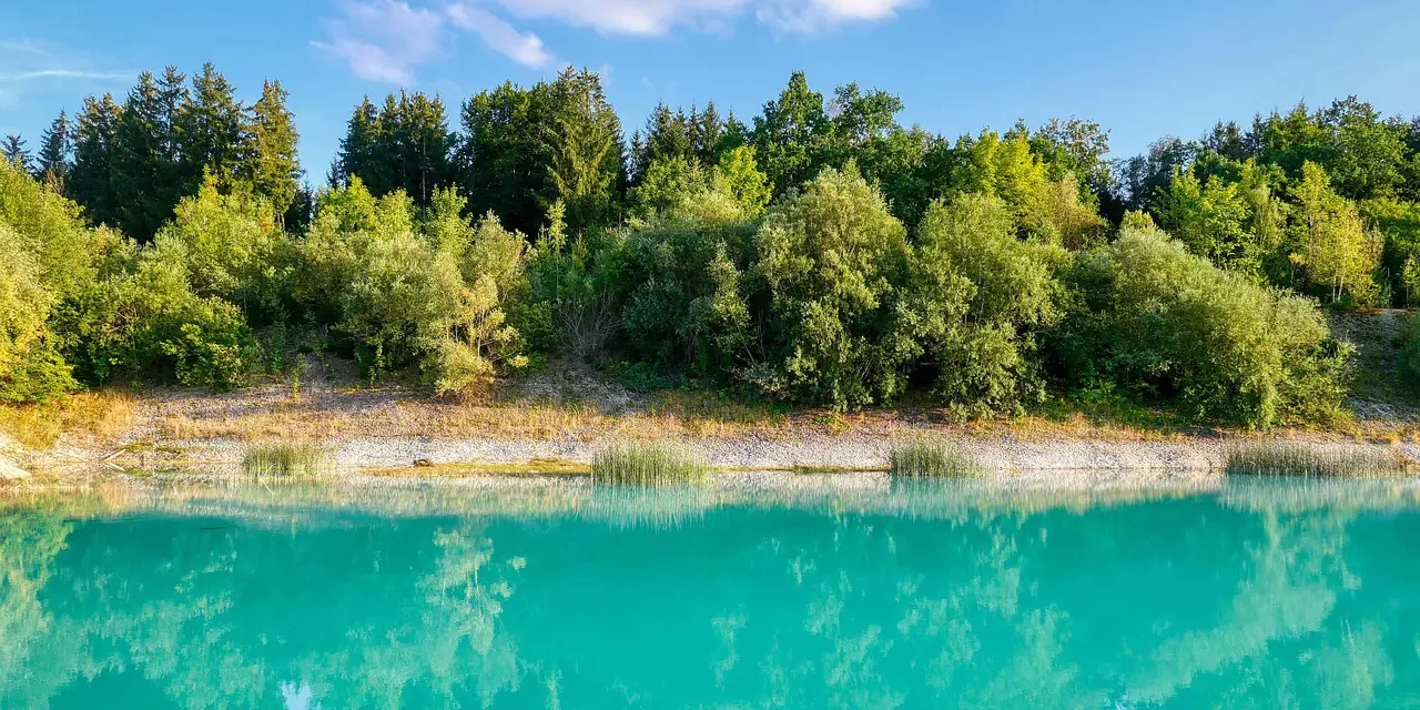 🌻 What Are Ghosts: Mind Illusion Ego Self Truth Awareness | Master Woo Myung | Santa Clara Meditation