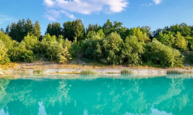 🌻 What Are Ghosts: Mind Illusion Ego Self Truth Awareness | Master Woo Myung | Santa Clara Meditation