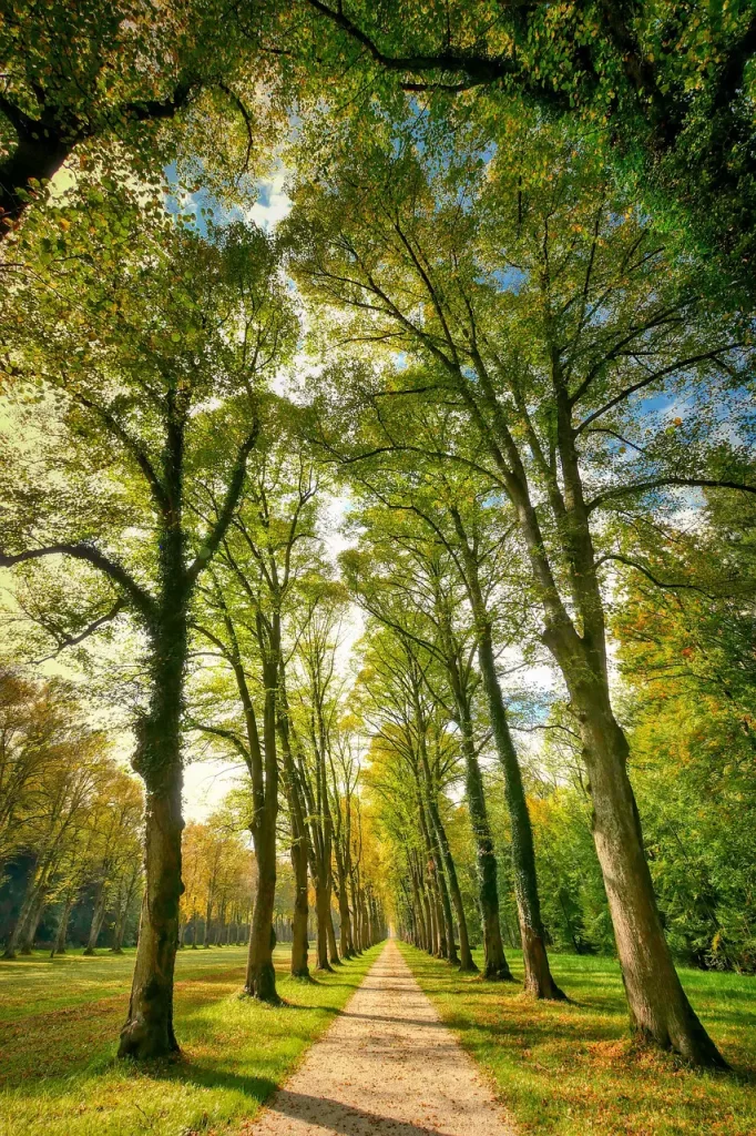 Master Woo Myung eternal life truth rebirth universe consciousness meditation teaching