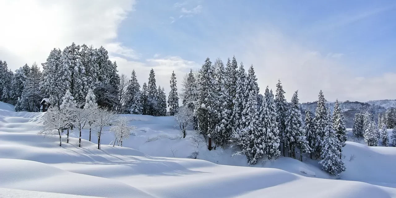 ⏳ The Years: Why the Mind Does Not Age | Master Woo Myung | Santa Clara Meditation