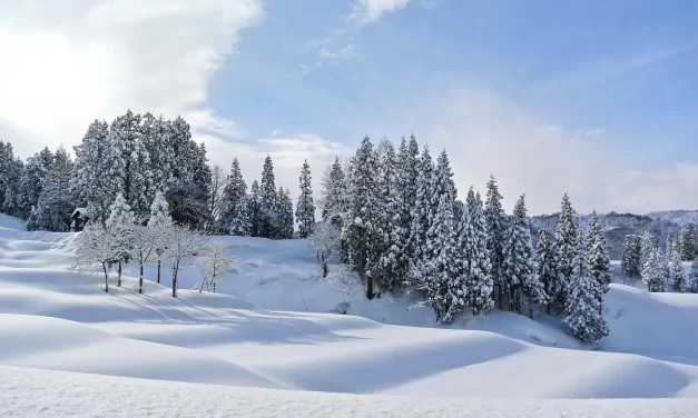 ⏳ The Years: Why the Mind Does Not Age | Master Woo Myung | Santa Clara Meditation