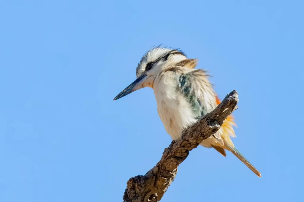 Master Woo Myung rich mind universe truth meditation oneness