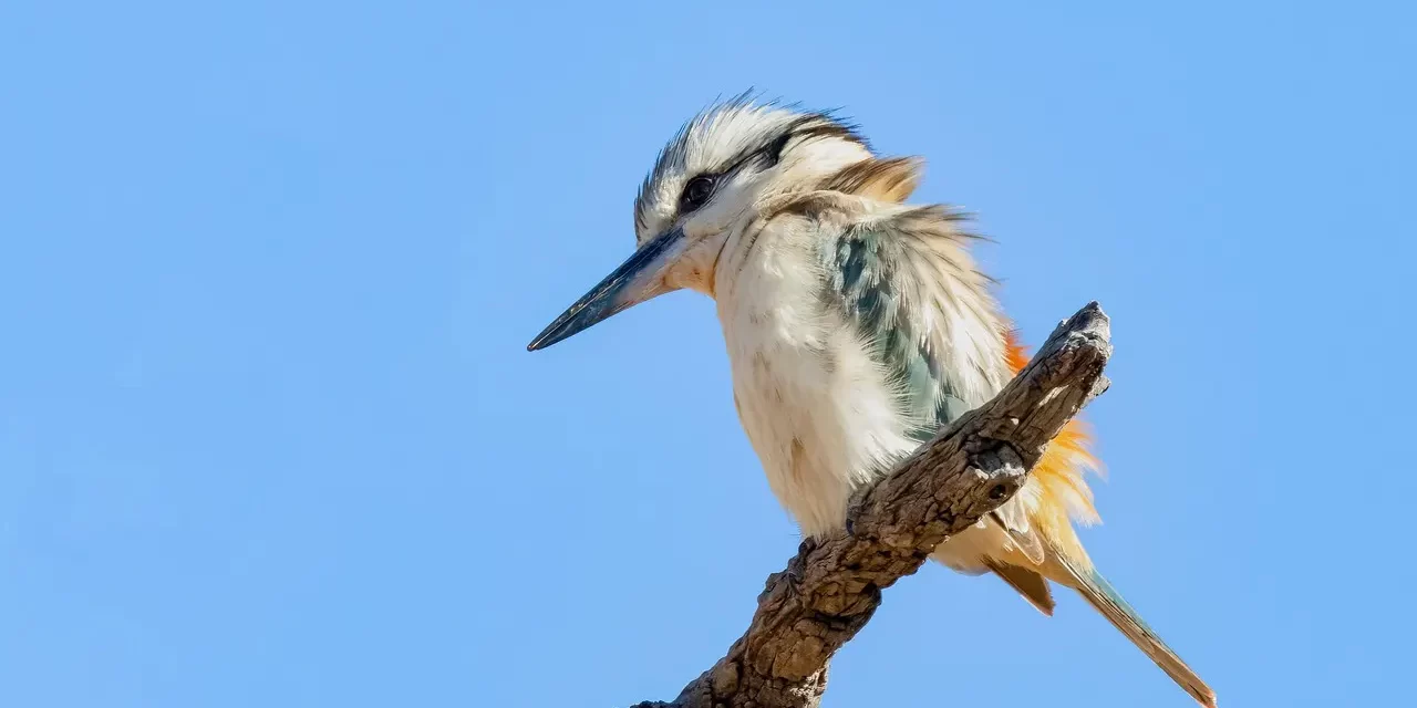 💎 A Rich Mind: When the Universe Becomes You | Master Woo Myung | Santa Clara Meditation