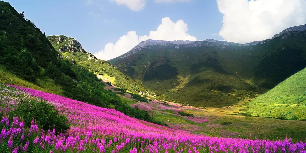 🌧️ Sorrow Meaning: Truth Misunderstanding Ego Mind Awakening Insight | Master Woo Myung | Santa Clara Meditation