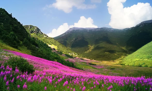 🌧️ Sorrow Meaning: Truth Misunderstanding Ego Mind Awakening Insight | Master Woo Myung | Santa Clara Meditation