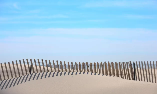 ✝️ Meaning of the Cross: Endless Truth Symbol Christianity Buddhism | Master Woo Myung | Santa Clara Meditation