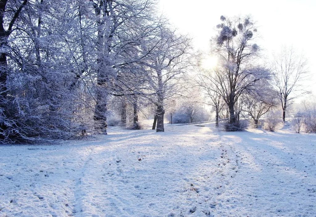 Master Woo Myung real and false truth heaven eternal life meditation teaching