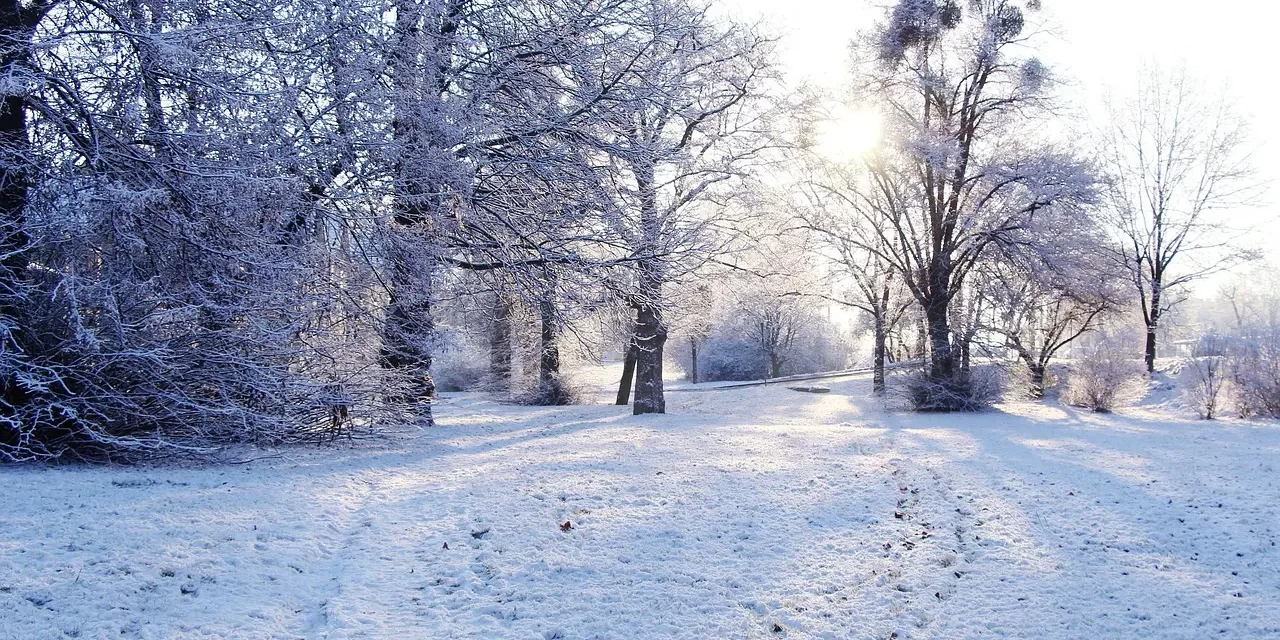 ⚖️ Real and False: Becoming Truth to Live in Eternal Heaven | Master Woo Myung | Santa Clara Meditation