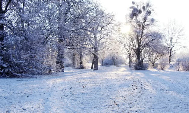 ⚖️ Real and False: Becoming Truth to Live in Eternal Heaven | Master Woo Myung | Santa Clara Meditation