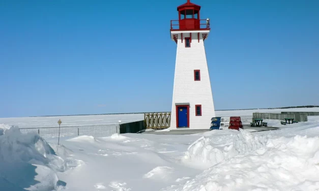 🌟 Salvation: Suffering Healing Truth Freedom Burden Release | Master Woo Myung | Santa Clara Meditation