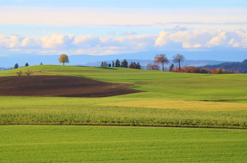 Master Woo Myung cast away delusions jung shin truth universe meditation teaching